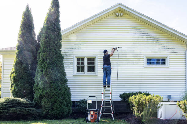 Best Pressure Washing Driveway  in Bloomingburg, OH